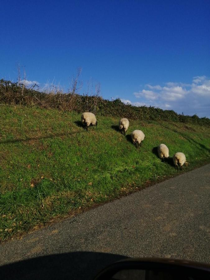 Au Repos Du Verger Couvrelles Exterior foto